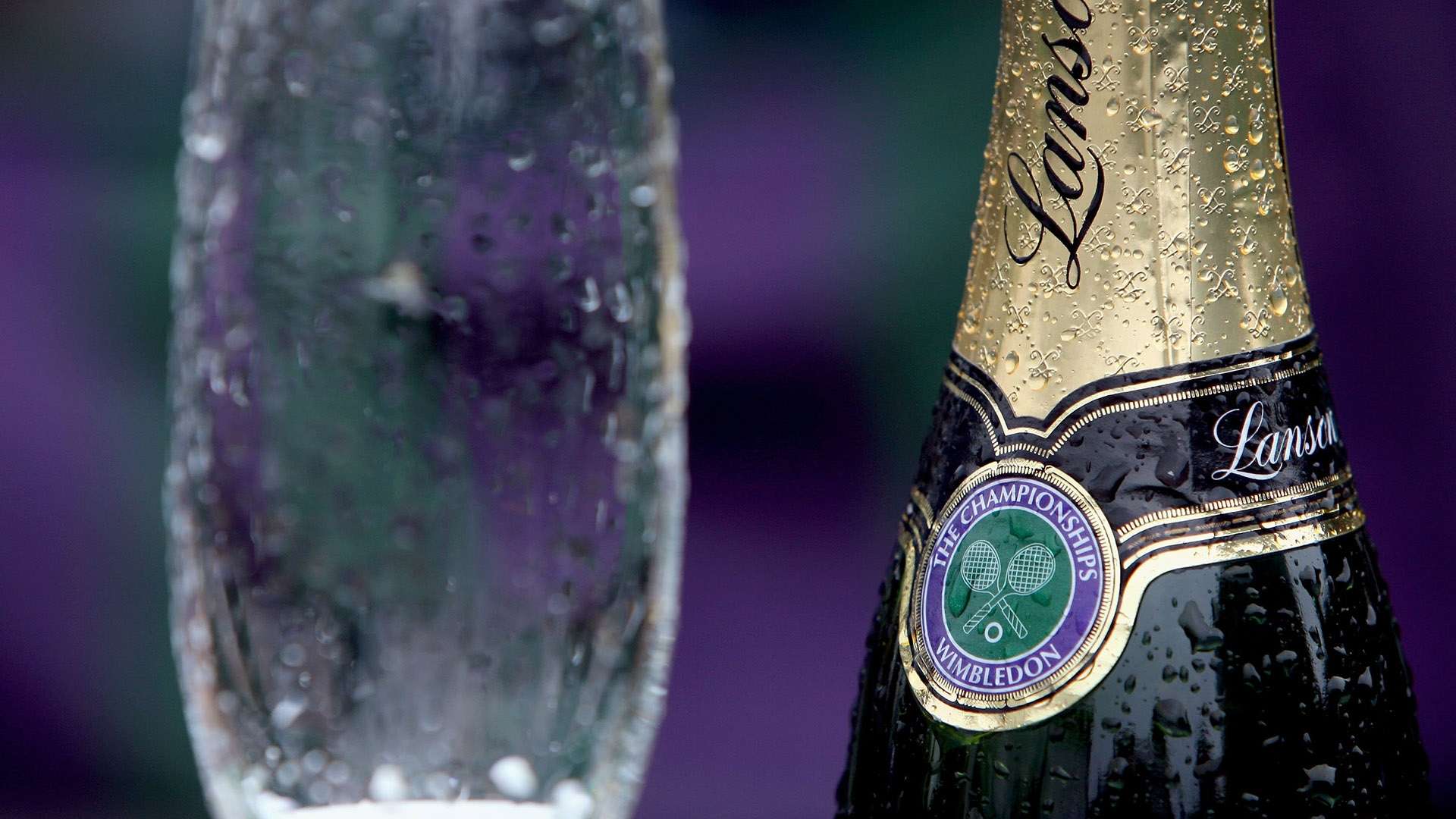 涯无疑是 涯无疑是