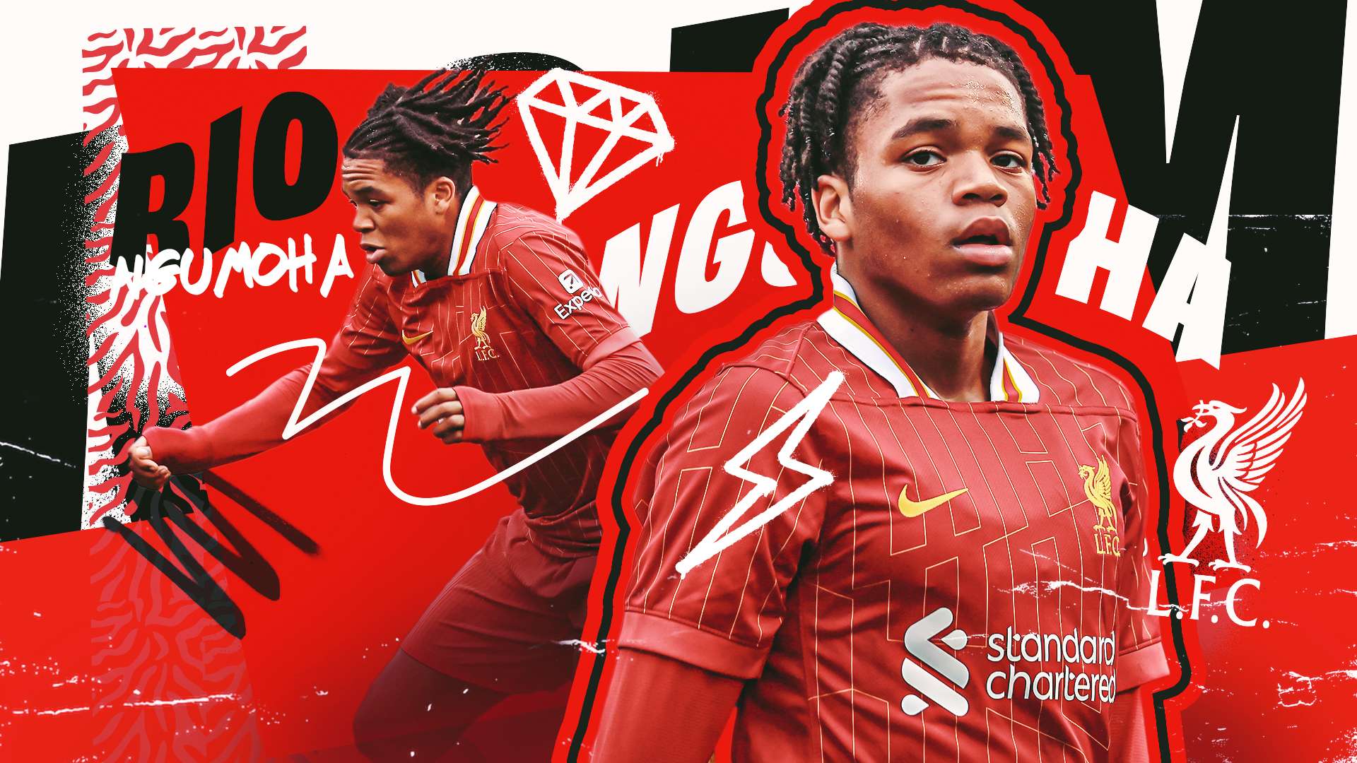 向新高度 向新高度