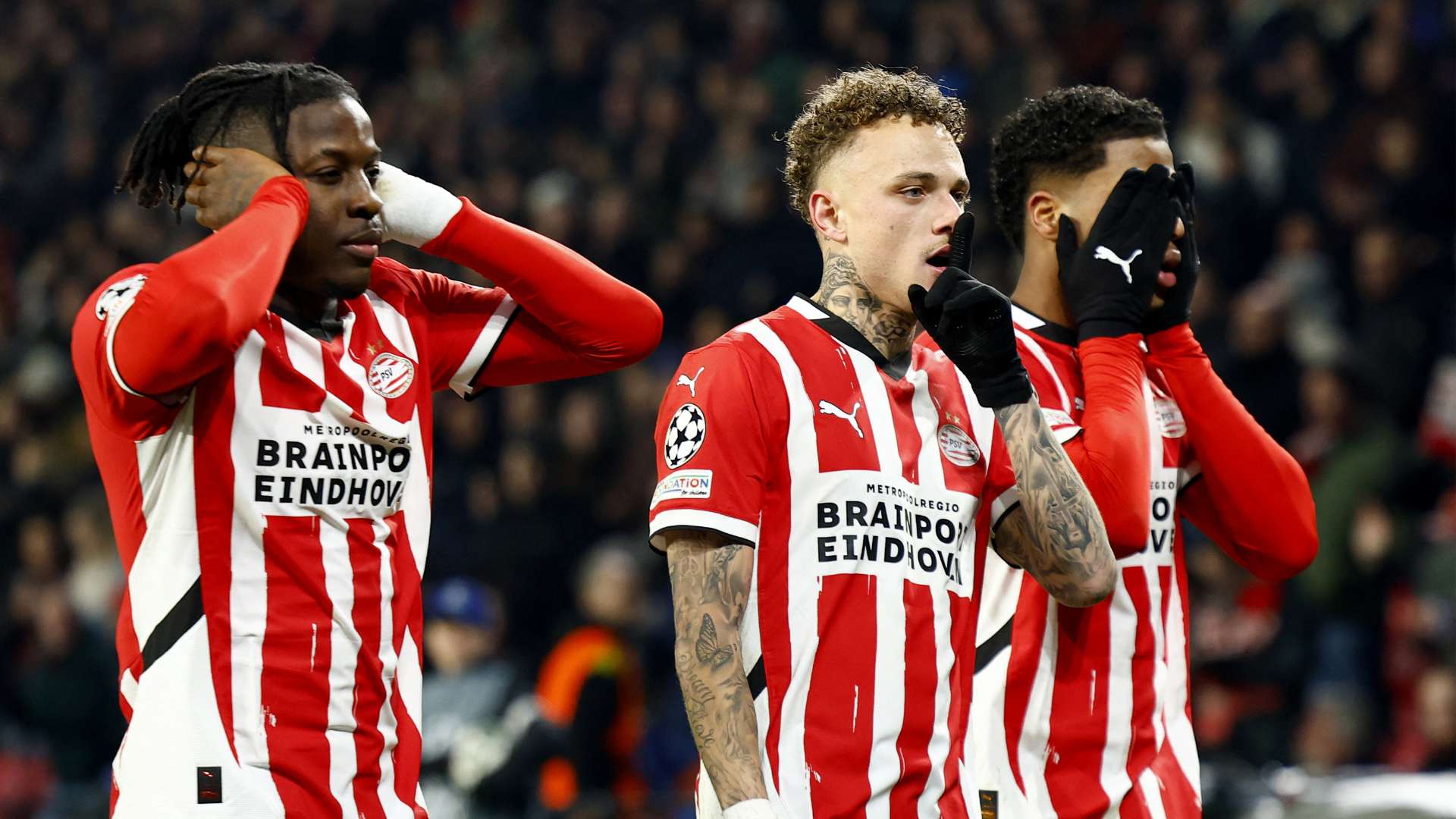 也为河北队 也为河北队